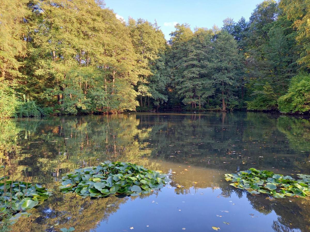 Am Waldsee Mit Schwimmbad *